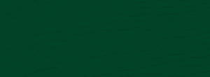 Couleur Vert conifère pour porte de garage Garaga en acier